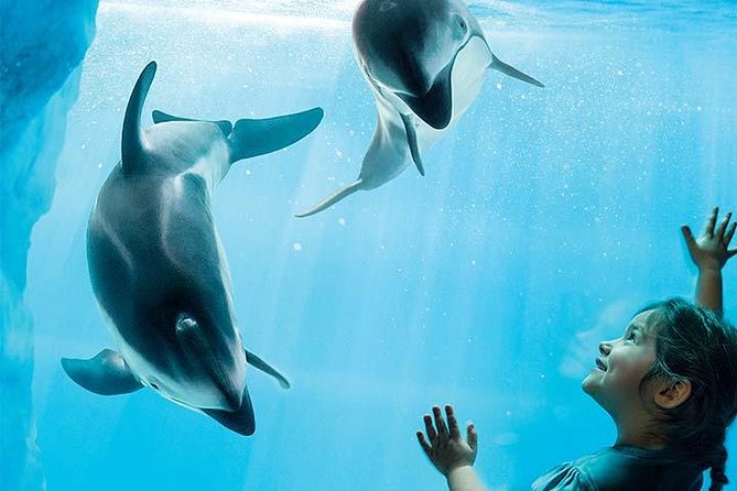 Chicago CityPASS® - Griffin Museum of Science and Industry: hands-on exhibits and timed moments
