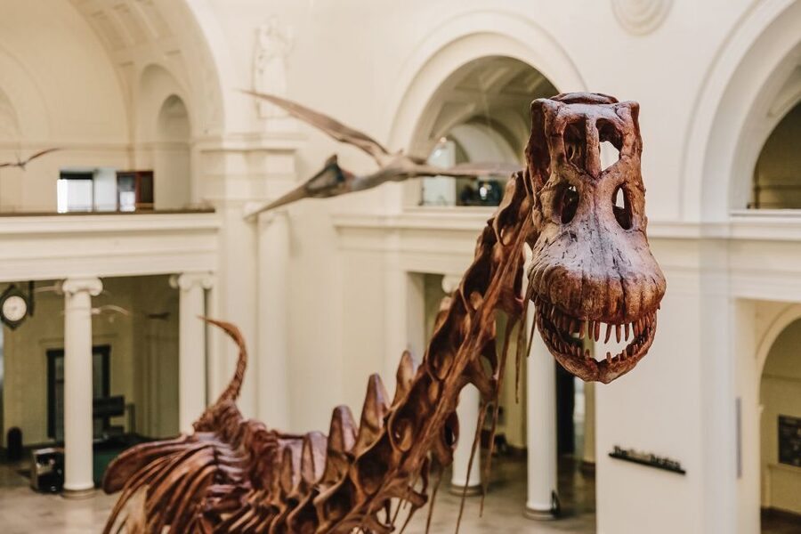 Chicago CityPASS®: Save up to 49% at 5 Top Attractions - Museum Power: Art Institute, Adler Planetarium, and the Science & Industry Timed Choice