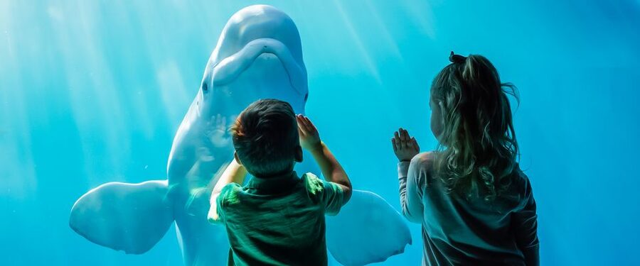 Chicago CityPASS®: Save up to 49% at 5 Top Attractions - Should You Book Chicago CityPASS?