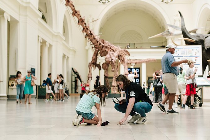Chicago Explorer Pass: 35+ Things To Do - Includes 360 Chicago - Navy Pier: the lakefront magnet (and more than rides)