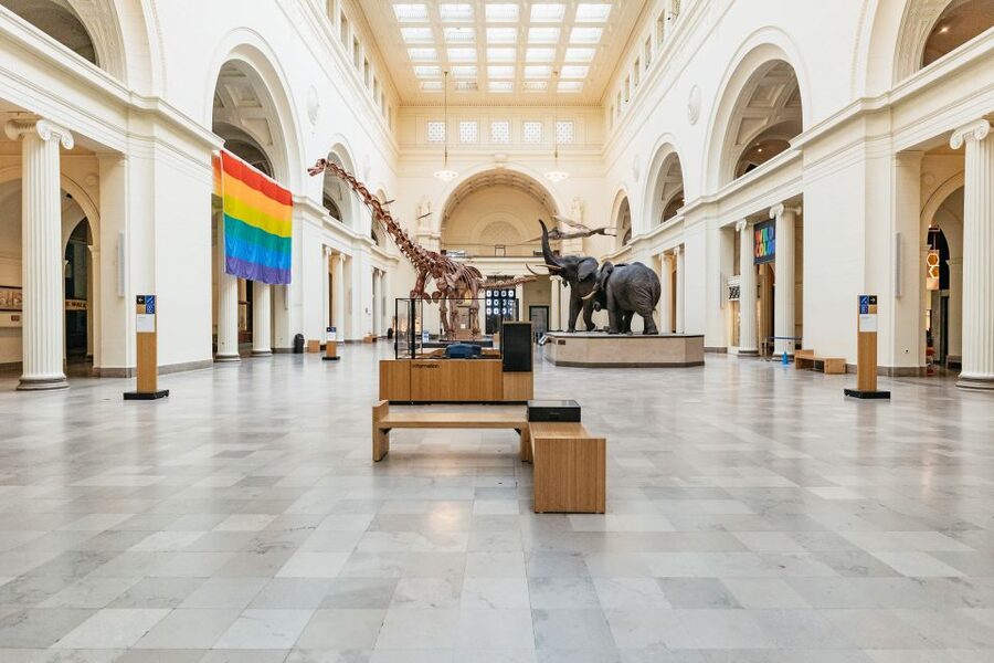 Chicago: Field Museum of Natural History Ticket or VIP Tour - Why Sue and Maximo Make the Field Museum Feel Worth a Whole Day