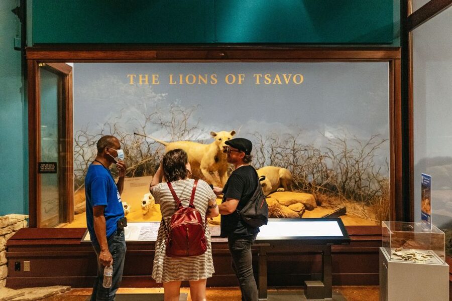Chicago: Field Museum of Natural History Ticket or VIP Tour - Entering Without Losing Your Morning to Lines