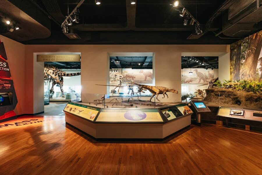 Chicago: Field Museum of Natural History Ticket or VIP Tour - Beyond Dinosaurs: Underground Adventure, Gems, Jade, and Ancient America