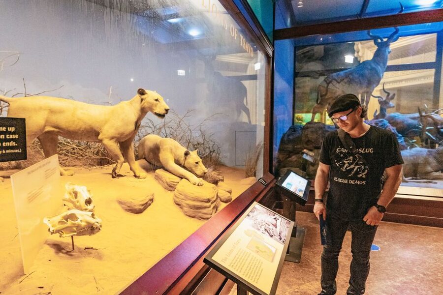 Chicago: Field Museum of Natural History Ticket or VIP Tour - Is This VIP Tour Worth It for Chicago Value?