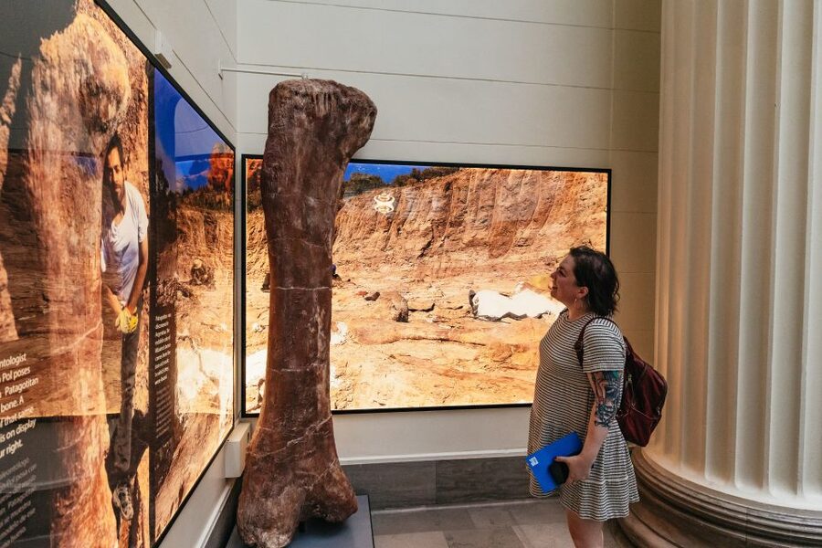 Chicago: Field Museum of Natural History Ticket or VIP Tour - Ticket Options: Standard Entry vs. Early Access VIP vs. All-Access Pass