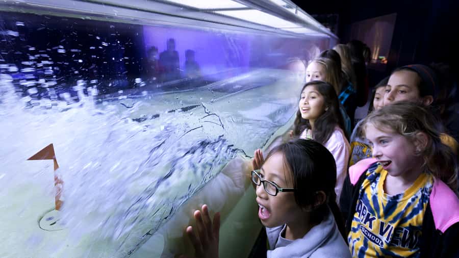 Chicago: Griffin Museum of Science and Industry Ticket - Timed Entry That Keeps You From Losing the Day