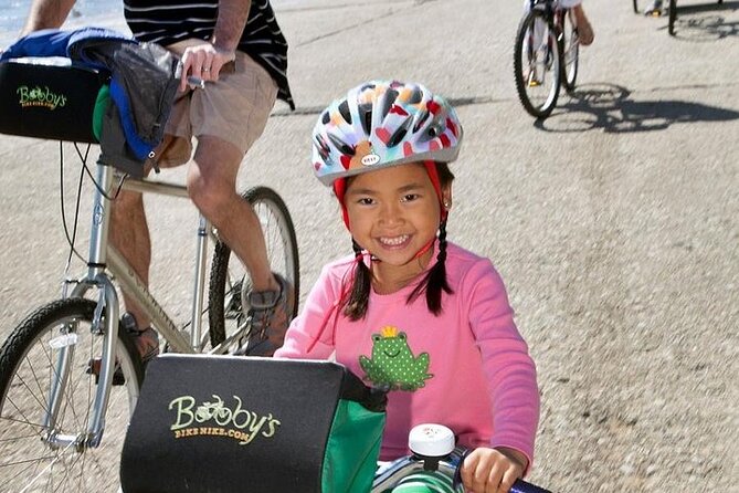 Chicago Half-Day Bike Rental - Why This Half-Day Chicago Bike Rental Works