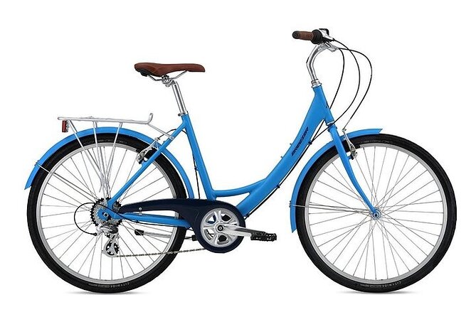 Chicago Half-Day Bike Rental - The Route You Can Actually Use: Lakefront, Parks, and Big Names