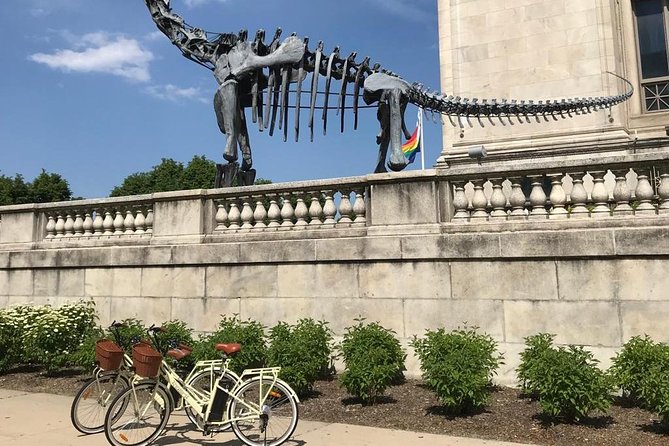Chicago Lakefront Electric Bike Tour - Who This Tour Fits Best