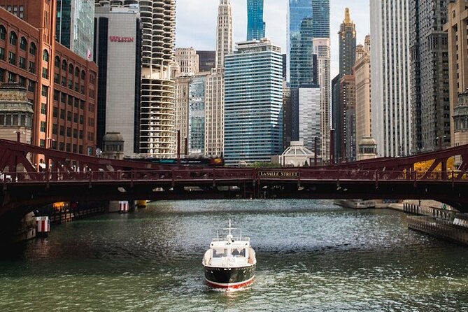 Chicago Luxury Minibus City Tour and Architecture River Cruise - Streeterville to Willis Tower: skyline hits from the bus