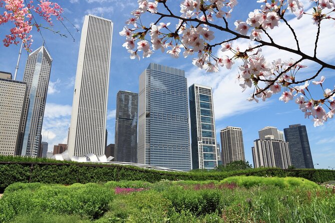 Chicago Millennium Park Self-Guided Walking Tour - Getting started: download first, then go hands-free
