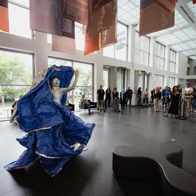 Chicago: Museum of Contemporary Art (MCA) Entry Ticket - Exhibitions at MCA: big names, serious questions, changing themes