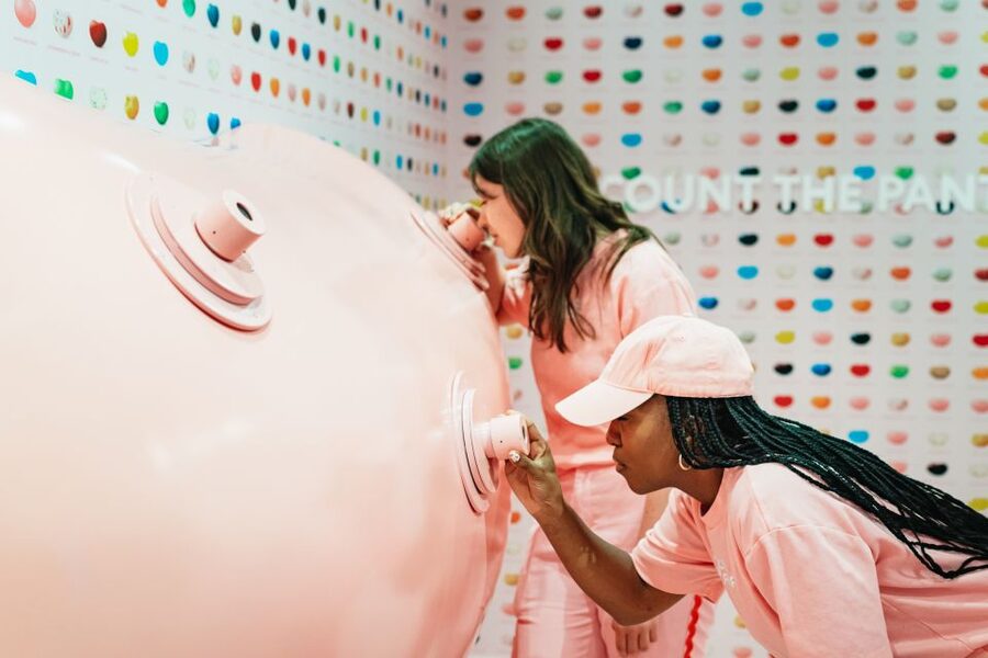 Chicago: Museum of Ice Cream Entry Ticket - The Sprinkle Pool and Sprink-L Ride: Where the Fun Gets Physical