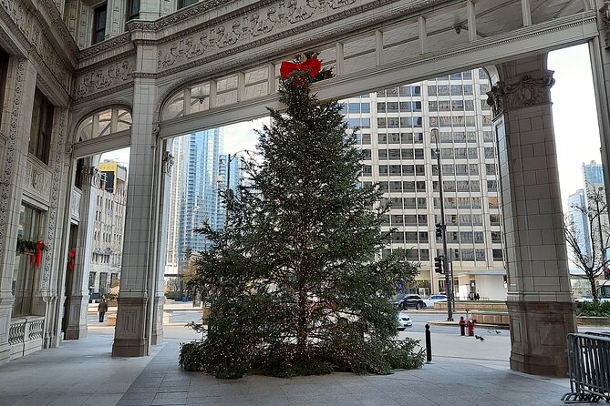 Chicago Seasonal Stroll Walking Tour of Holiday Attractions - Michigan Avenue Bridge views: reflections that feel like a cheat code