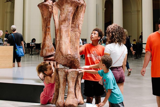 Field Museum of Natural History Admission Tickets - Stop inside Inside Ancient Egypt: mummies and hieroglyphics