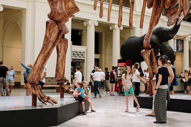 Field Museum of Natural History Admission Tickets - Hall of Gems and the Chinese jade collection