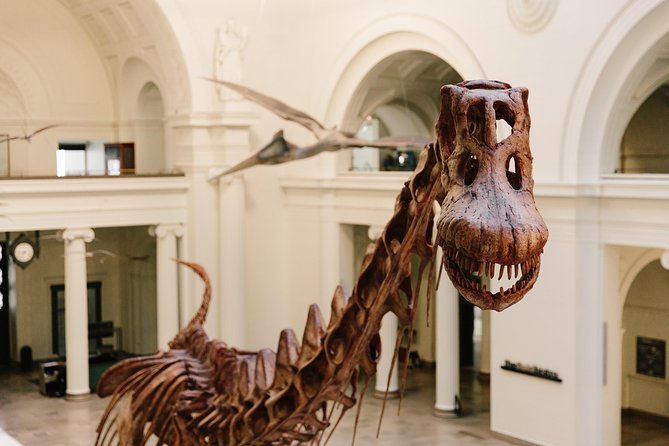 Field Museum of Natural History All-Access Pass - Entering Chicago’s Museum Campus on your terms