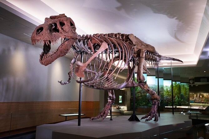 Field Museum of Natural History Early Access Ticket - Early Access at the Field Museum: How 8:00am Changes Everything