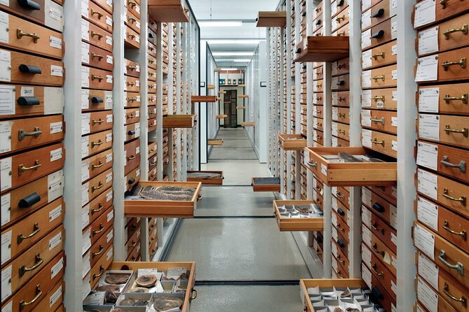 Field Museum of Natural History Early Access Ticket - Duration Reality Check: Plan for an Hour of Guidance Plus Extra Time