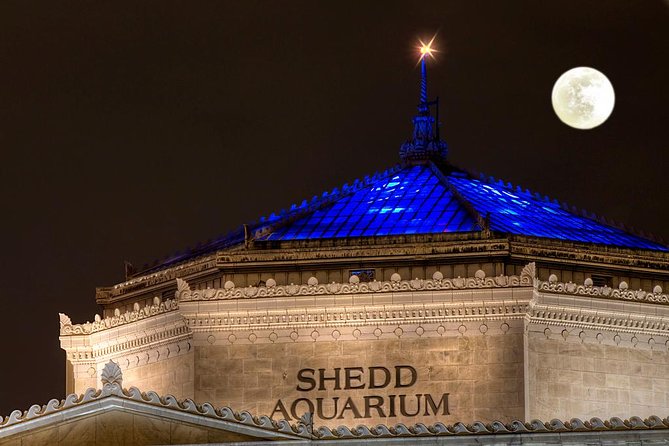 Fright Hike: Chicago Halloween Bike Tour - The storytelling style: fun, fast, and sometimes dark