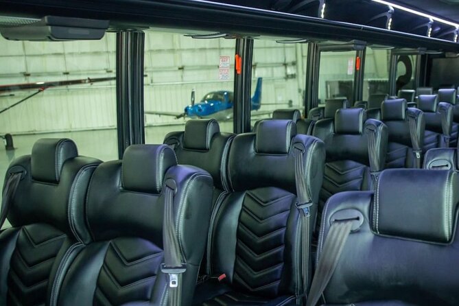 Luxury Minibus Chicago City Tour - Price and value: when $65 for 2 hours feels fair