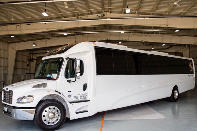 Luxury Minibus Chicago City Tour - Soldier Field and Field Museum: stadium energy plus Sue the T. rex