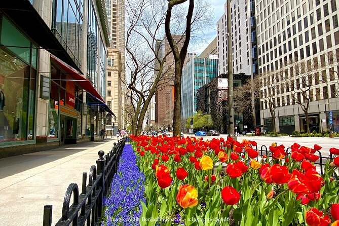 Welcome to Chicago: Private Half-Day Tour with 360 Observation Deck - Practical Tips for a Smooth Half-Day