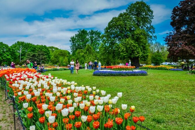Windmill Island Gardens Day Tour from Chicago – Kids Save 50% - Quick hits before you go