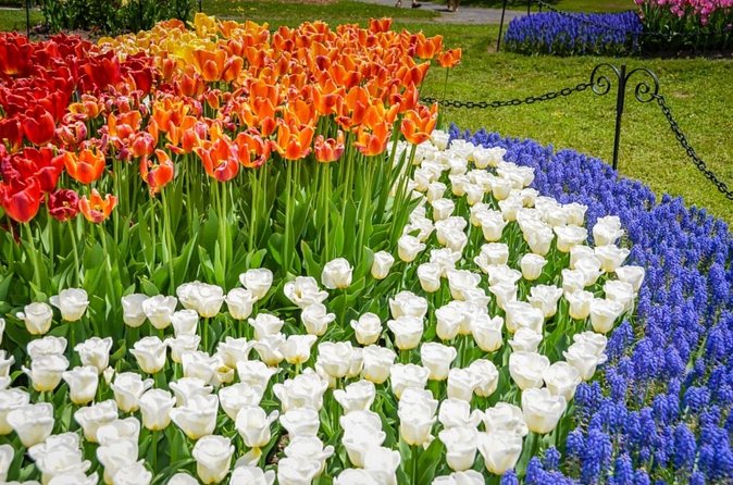 Windmill Island Gardens Day Tour from Chicago – Kids Save 50% - A Dutch-spring road trip from Chicago (and why it works)