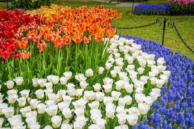 Windmill Island Gardens Day Tour from Chicago – Kids Save 50% - Windmill Island Gardens: De Zwaan, tulip bloom, and walk time