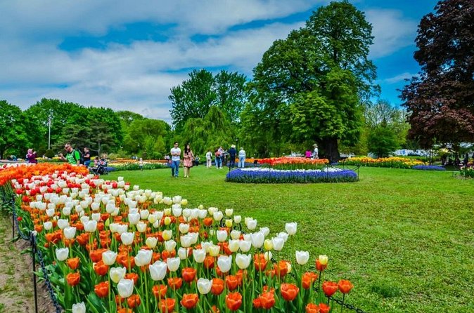 Windmill Island Gardens Day Tour from Chicago – Kids Save 50% - Getting there early: timing, comfort, and the group vibe
