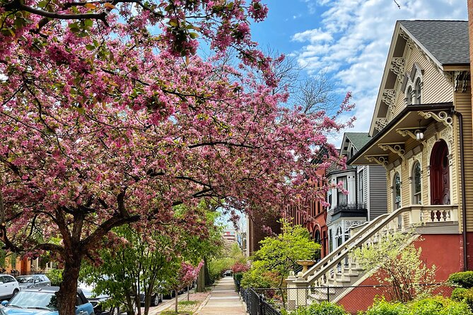 Workers Cottages of Oldtown Triangle Walking Tour - Price and Group Size: What You’re Paying For (and Why It’s Fair)